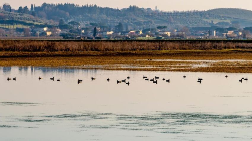 Готель Borgo Nuovo Housing Фучеккьо Екстер'єр фото